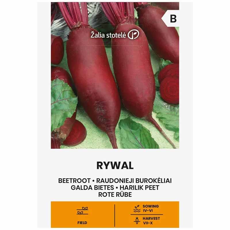 Beetroot 'Rywal'
