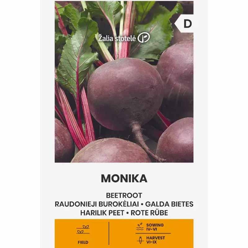 Beetroot 'Monika'