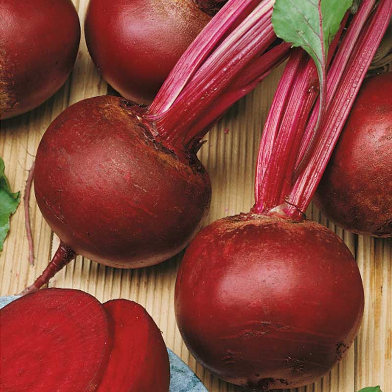 Beetroot 'Rote kugel 2'