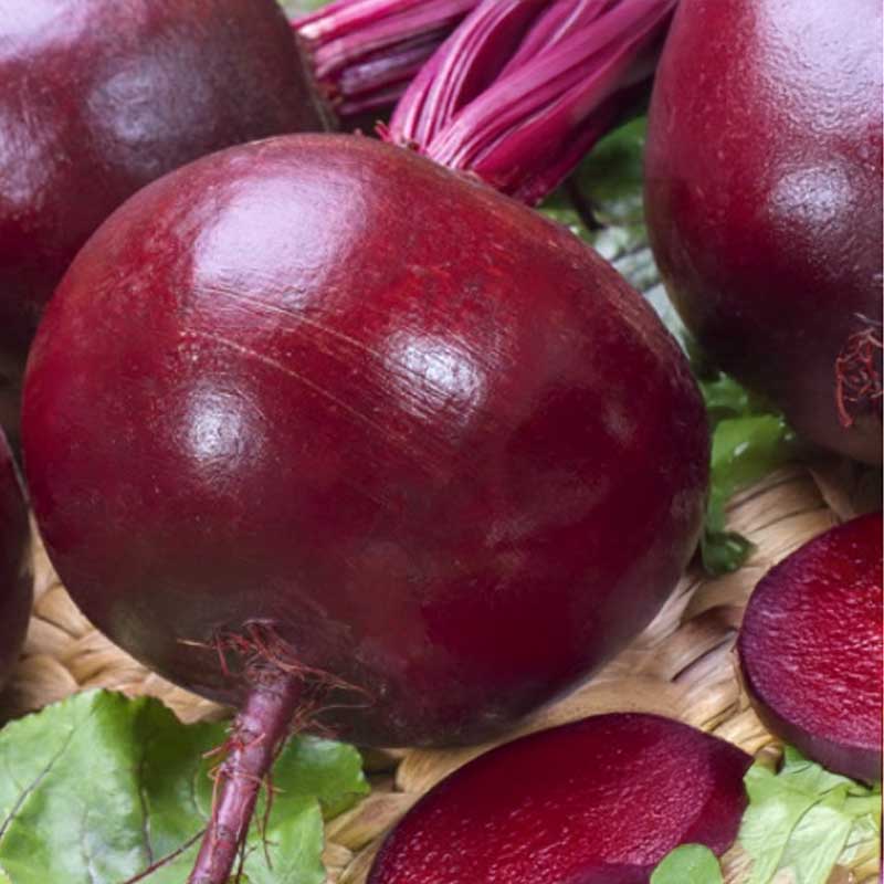 Beetroot 'Jolie' F1