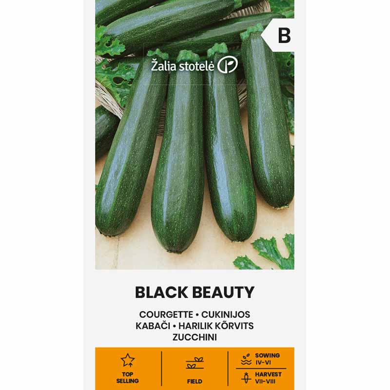 Squash 'Black beauty'
