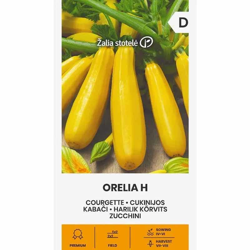Squash 'Orelia' h