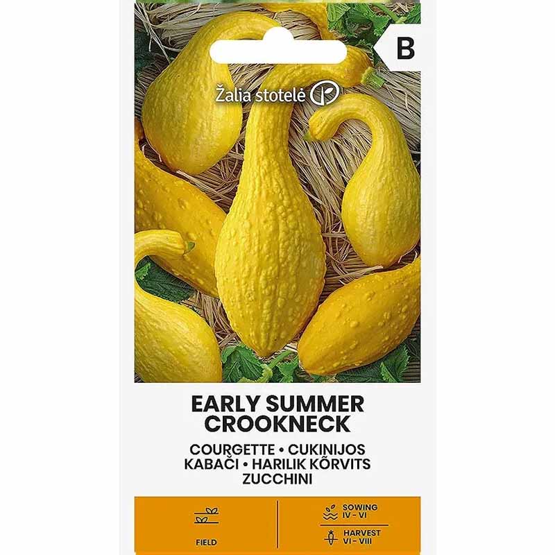 Squash 'Early summer crokneck'