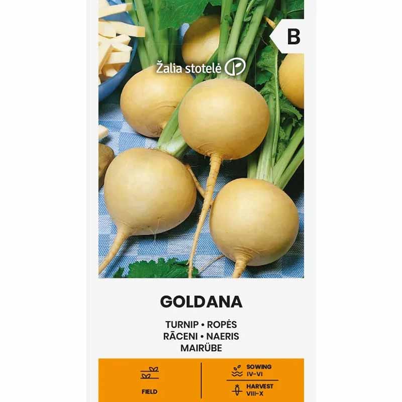 Turnip 'Goldana'