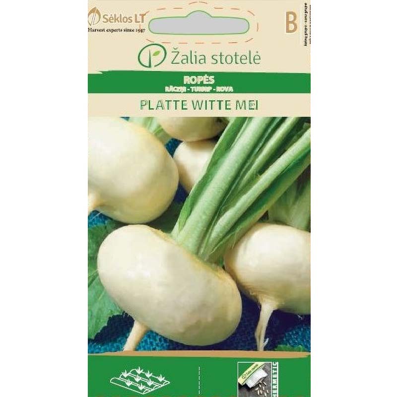 Turnip 'Platte Witte Mei'