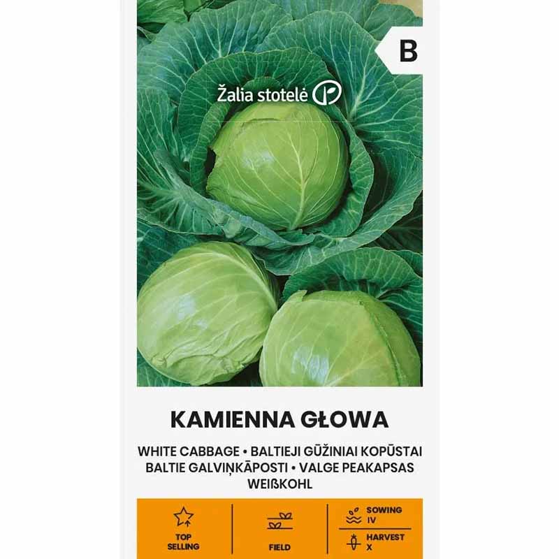 White Cabbage 'Kamienna Glowa'