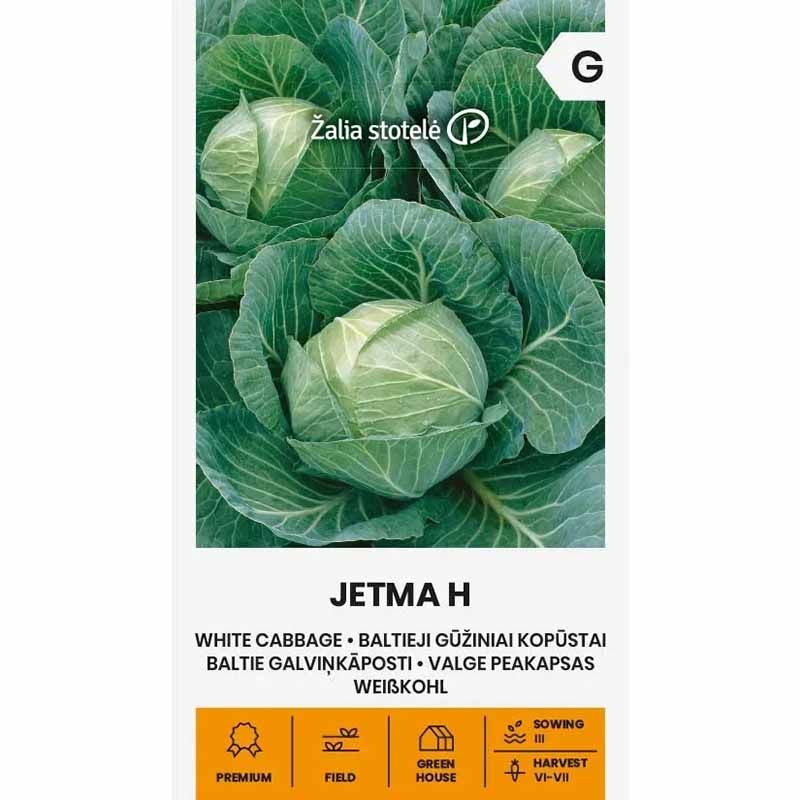White Cabbage 'Jetma' H