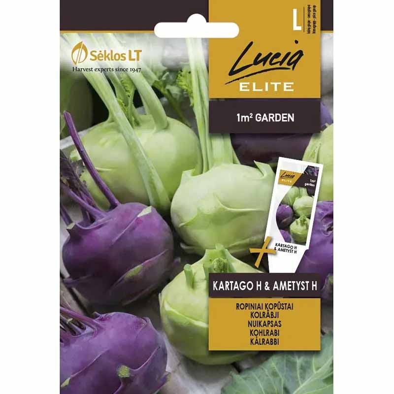Kohlrabi 'Kartago H & Ametyst H'