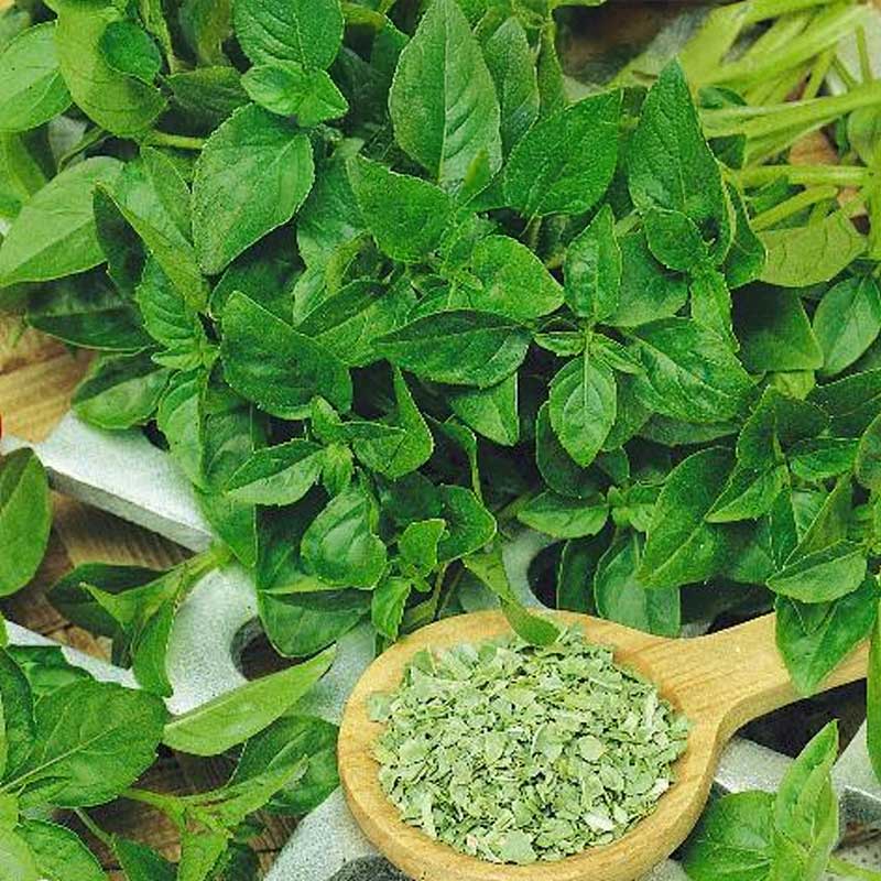Basil Cinnamon