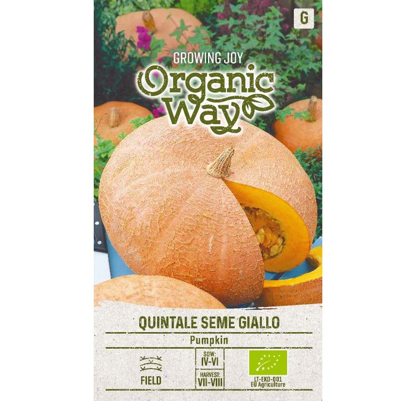 Pumpkin 'Quintale seme giallo'