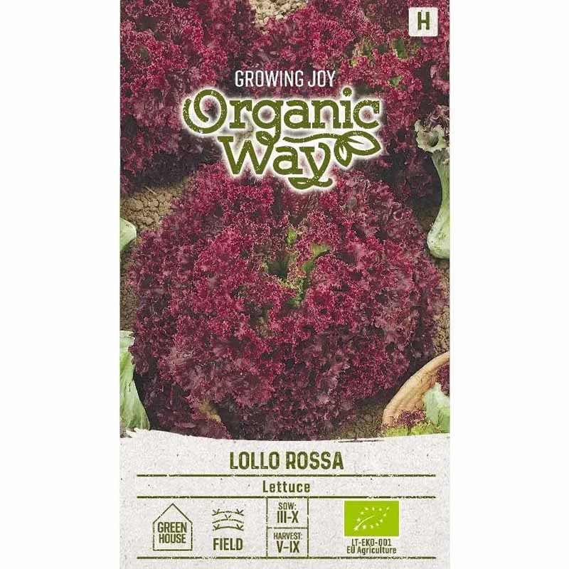 Lettuce 'Lollo rossa'