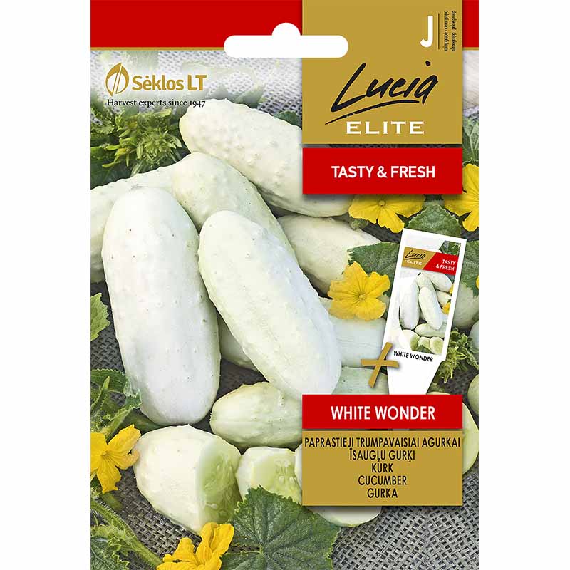 Cucumber 'White Wonder'