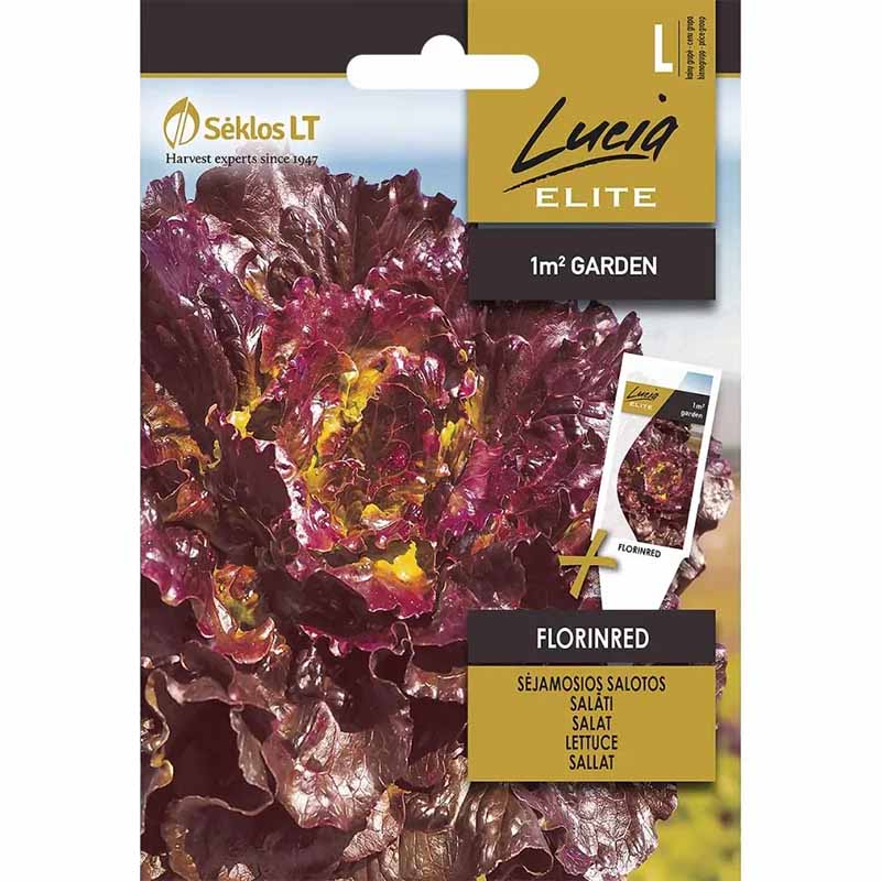 Lettuce 'Florinred'