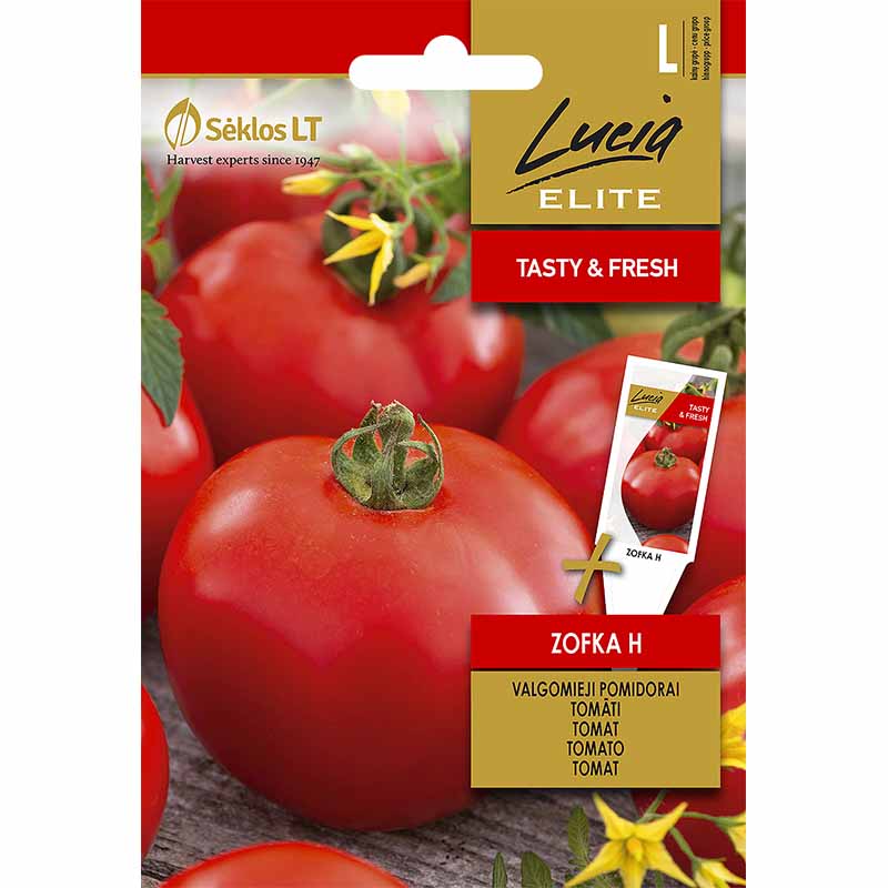 Tomato 'Zofka' H