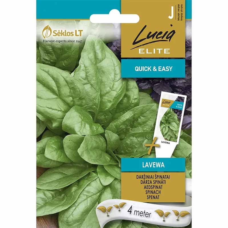 Spinach 'Lavewa'