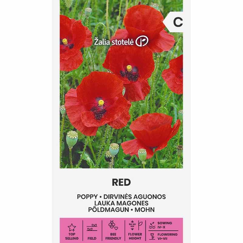 Red Poppy