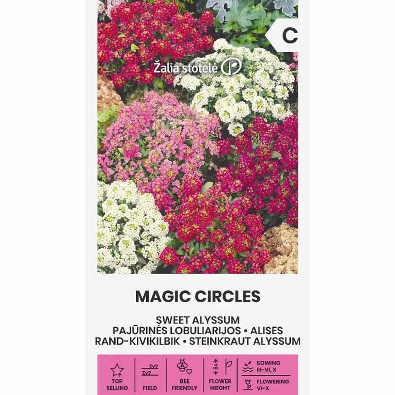 Sweet Alyssum 'Magic Circles'