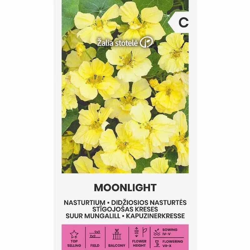 Climbing Nasturtium 'Moonlight'