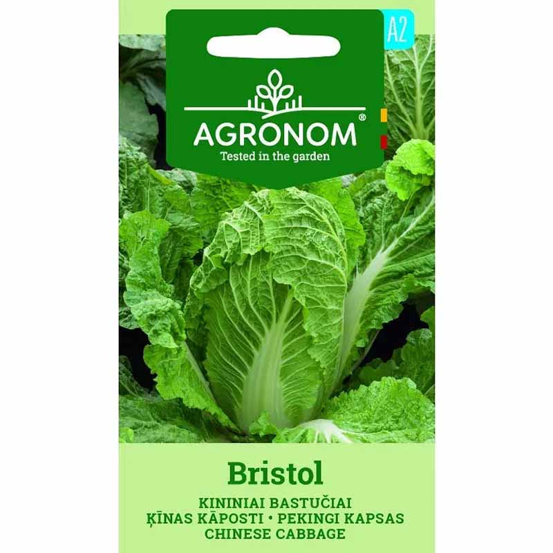 Chinese Cabbage 'Bristol'