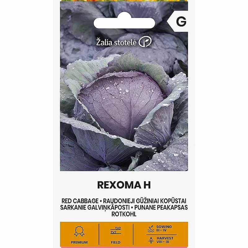 Red Cabbage 'Rexoma' H