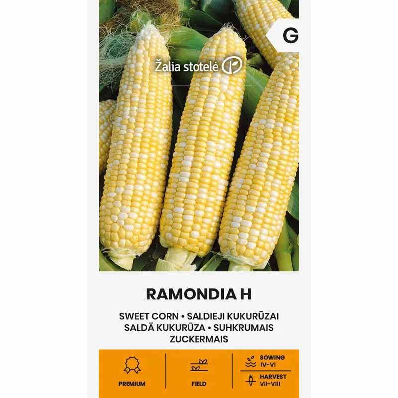 Sweet Corn 'Ramondia' H