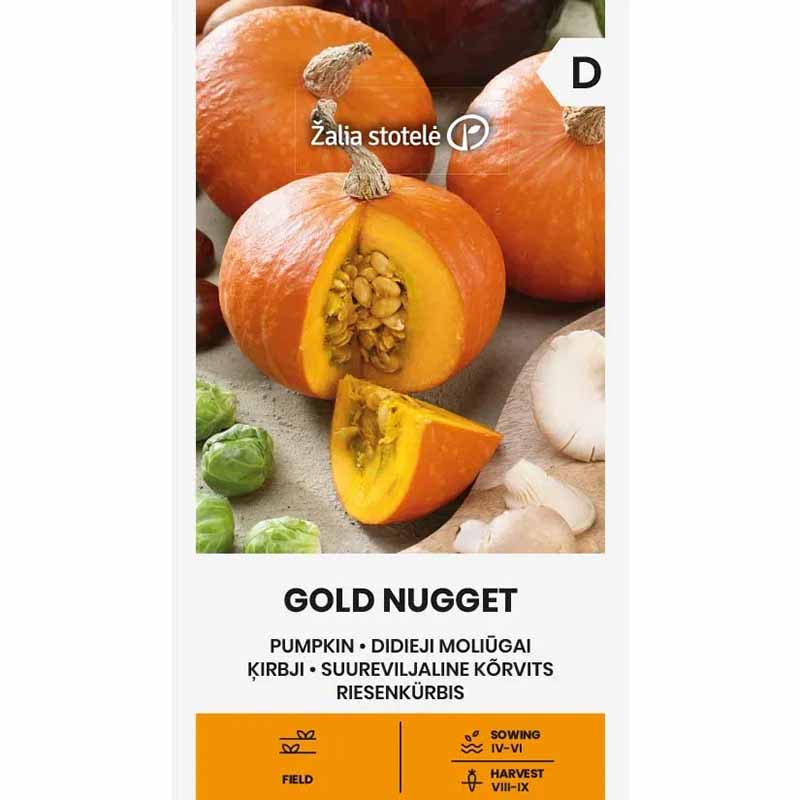 Pumpkin 'Gold nugget'