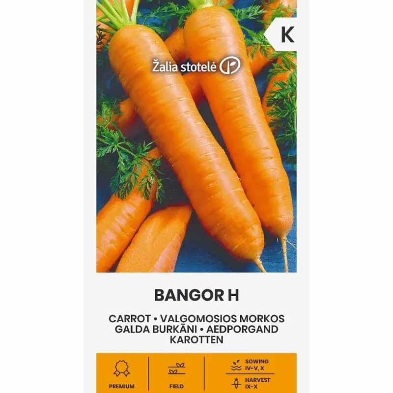 Carrot 'Bangor' H