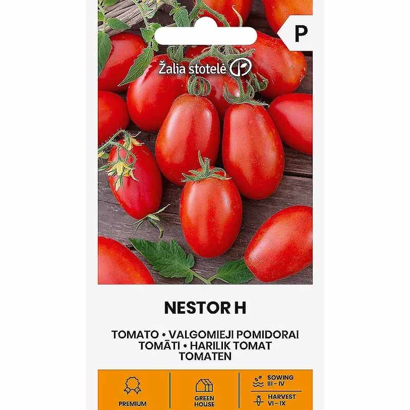 Cherry Tomato 'Nestor' H
