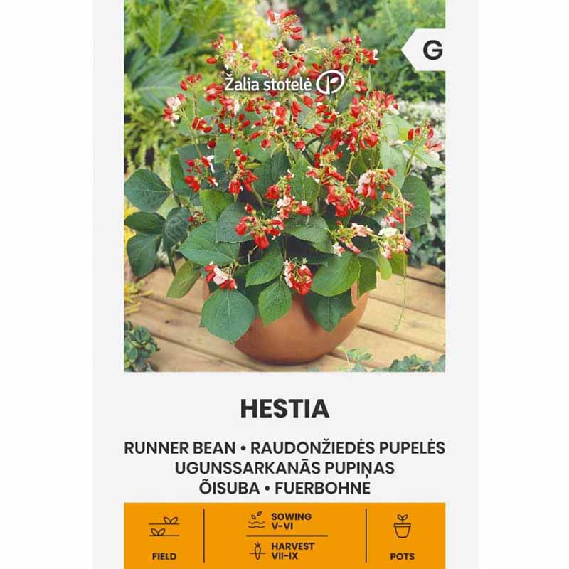 Runner Bean 'Hestia'