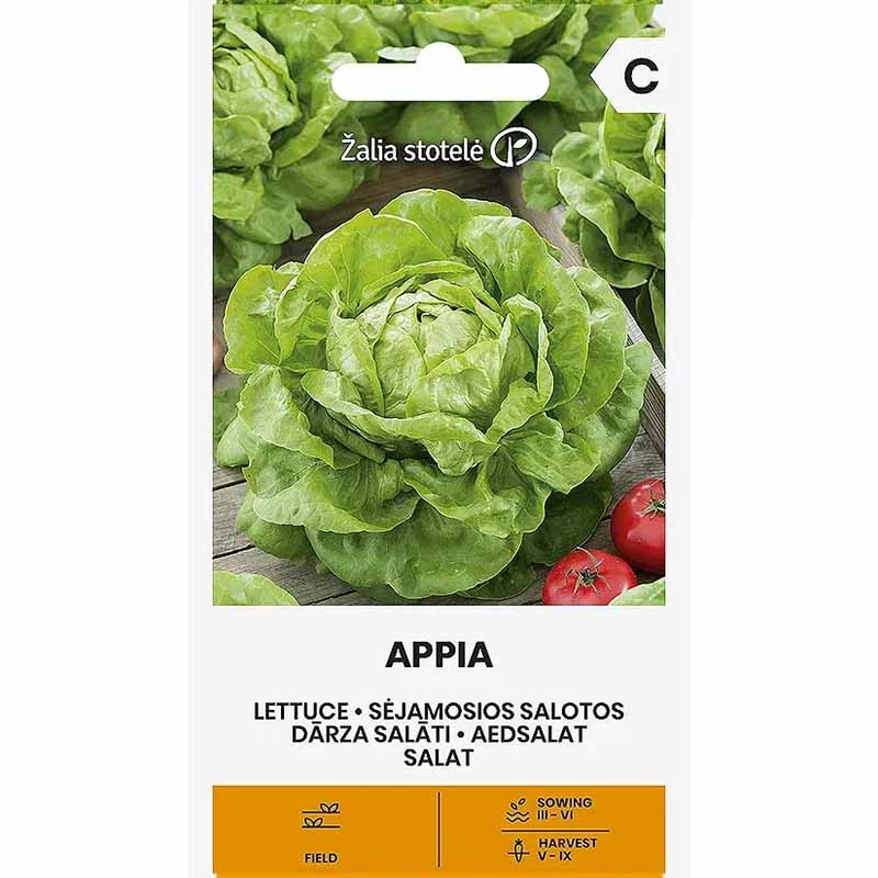 Batavia Lettuce 'Appia'