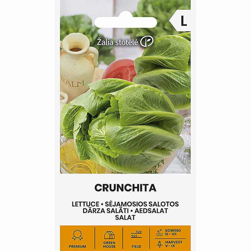 Snack Lettuce 'Crunchita'