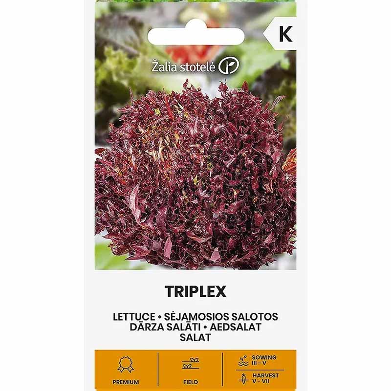 Lettuce 'Triplex'