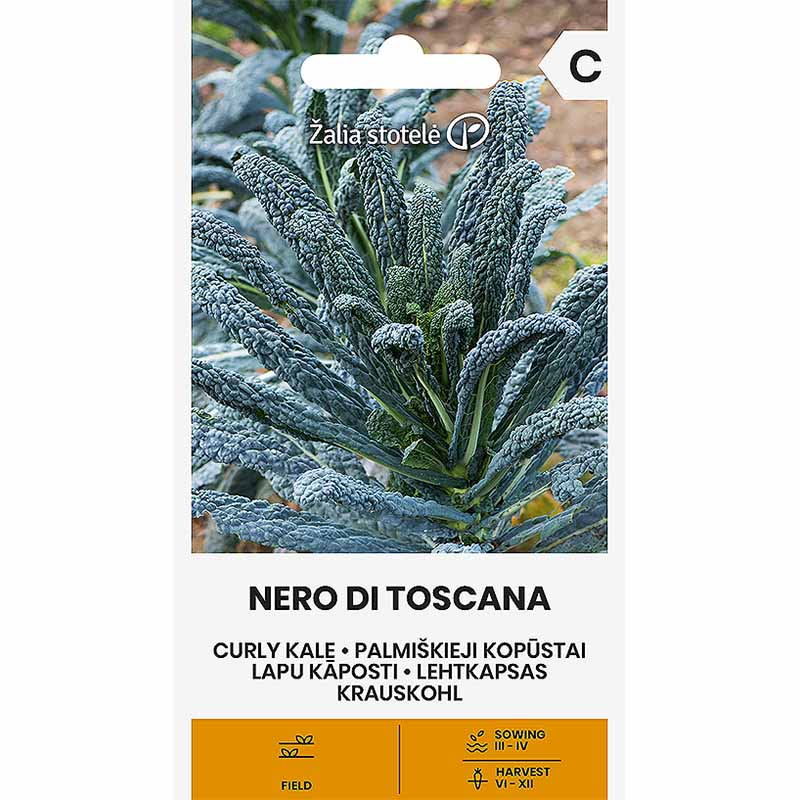 Kale 'Nero di Toscana'
