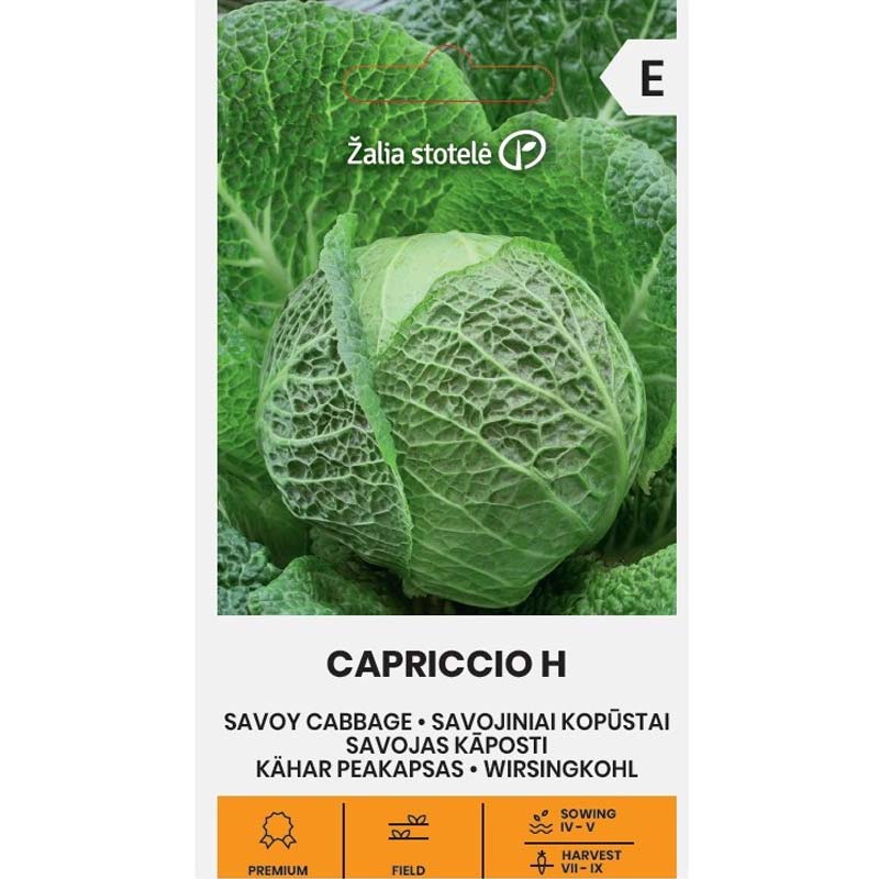 Savoy Cabbage 'Cappriccio' H