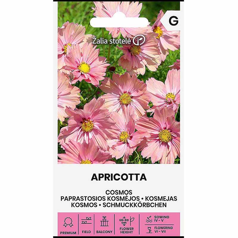 Cosmos 'Apricotta'