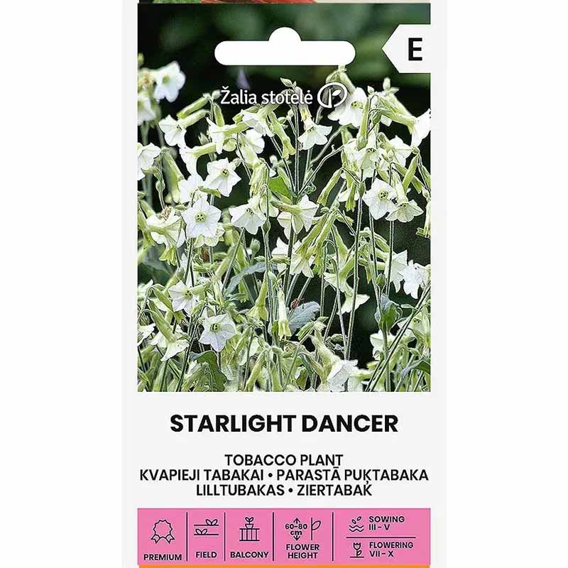Flowering Tobacco 'Starlight Dancer'