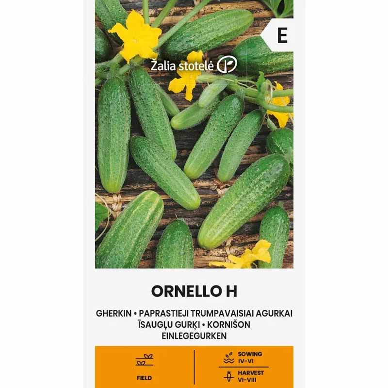 Cucumber 'Ornello' F1