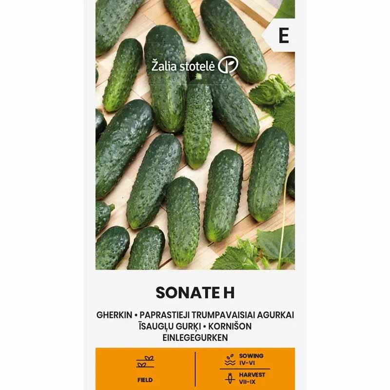 Cucumber 'Sonate' F1