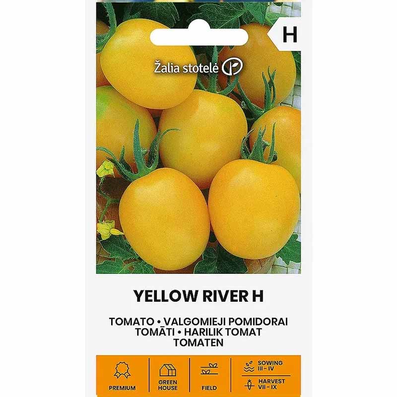 Tomato Plommontomat 'Yellow river' H