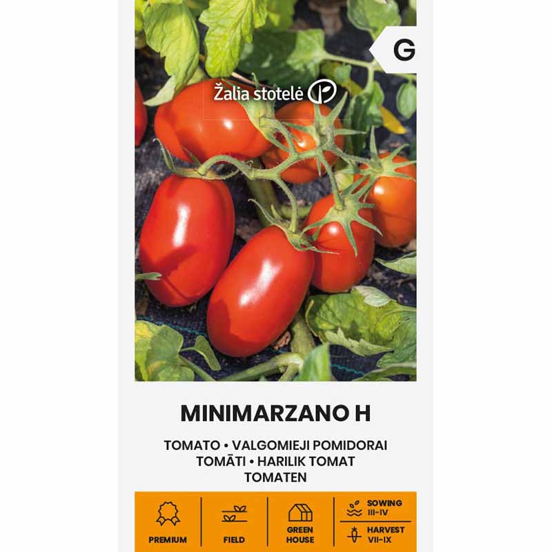 Tomato 'Minimarzano' H