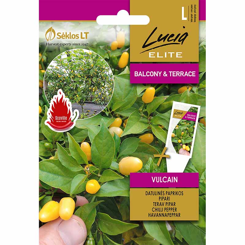 Chili Pepper 'Vulcan'