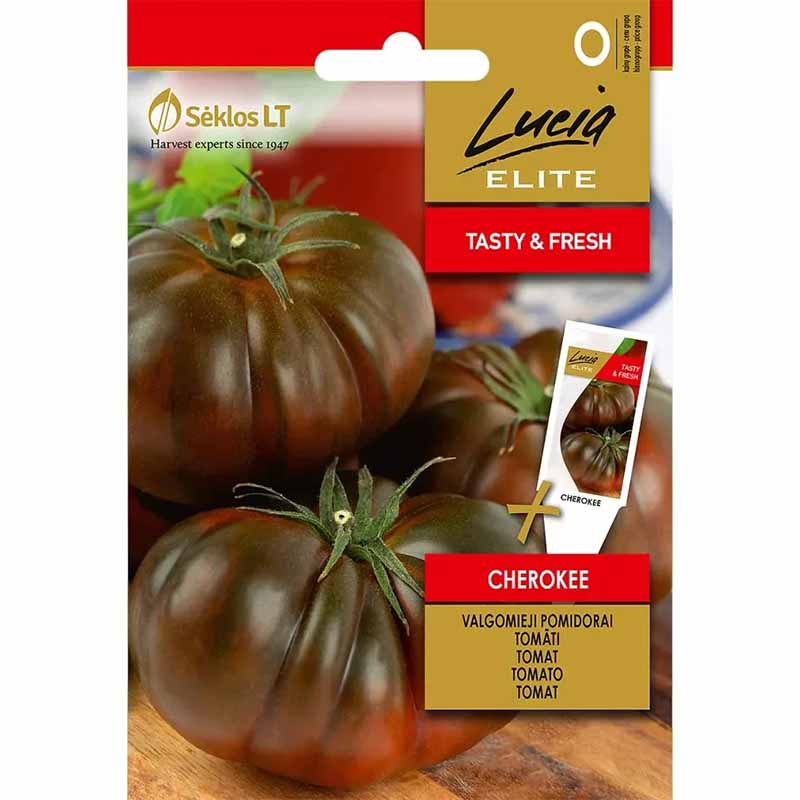 Beefsteak Tomato 'Cherokee'