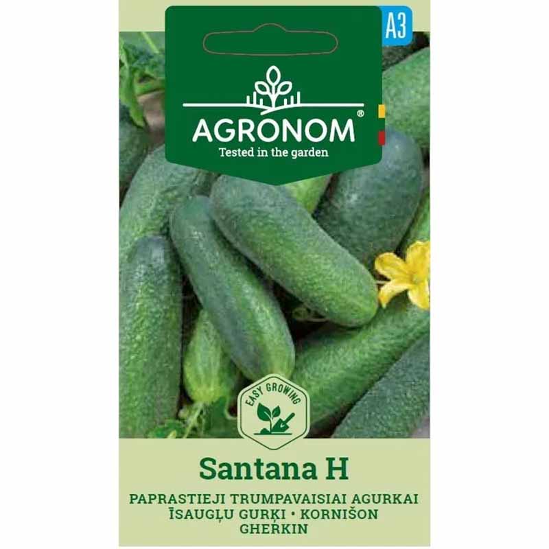 Outdoor Cucumber 'Santana' F1