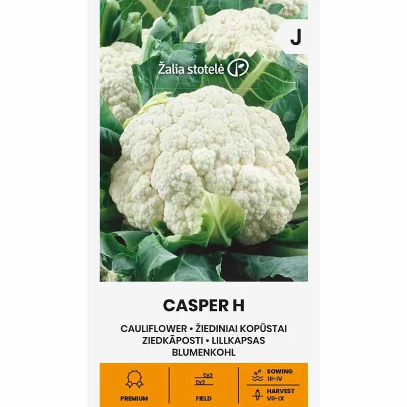 Cauliflower 'Casper' H
