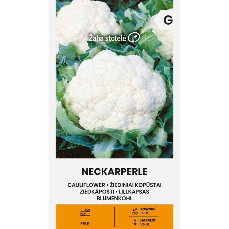 Cauliflower 'Neckarperle'