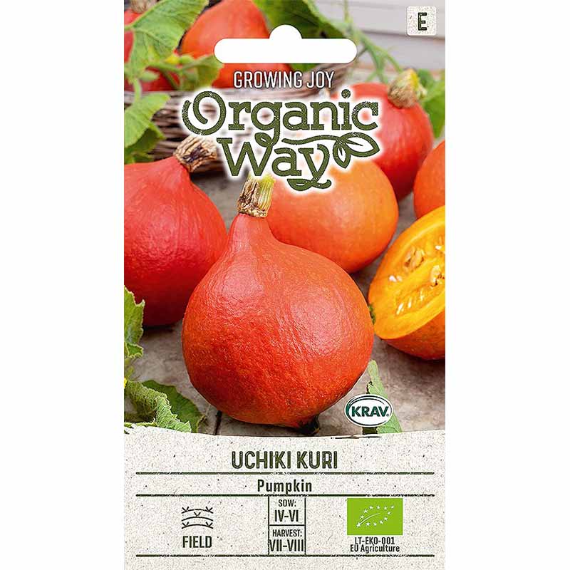 Pumpkin 'Uchhiki Kuri'