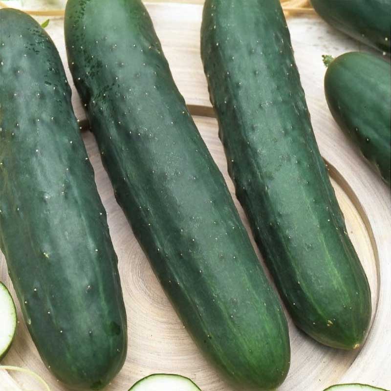 Cucumber 'Marketer'