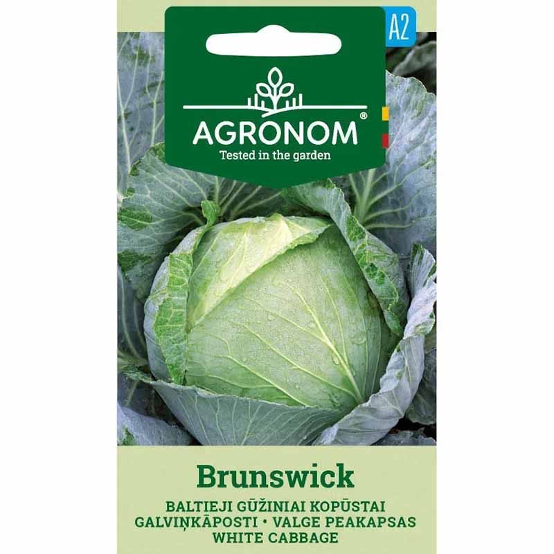 Cabbage 'Brunswick'