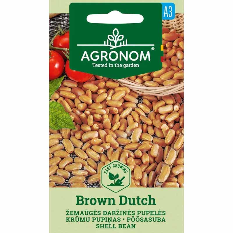 Shelling bean 'Brown dutch'