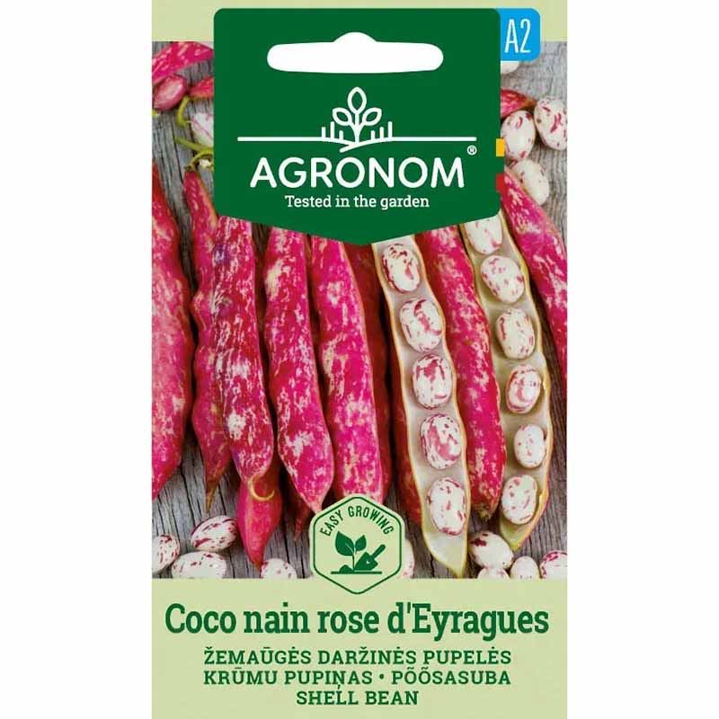 Shelling bean 'Coco Nain Rose D´Eyrague'